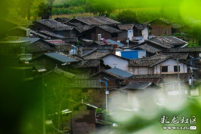 高山流水是古琴曲还是古筝曲？游戏画面
